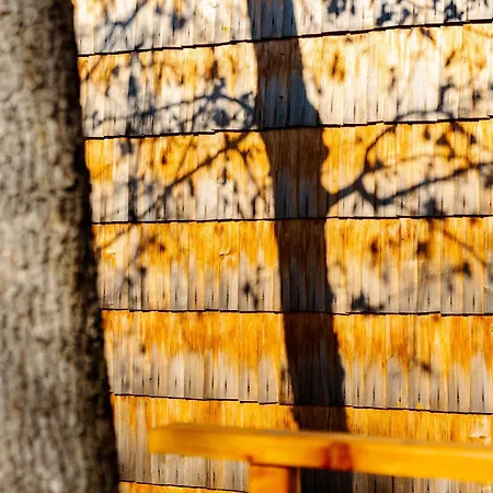 Pazar Homes リゾート